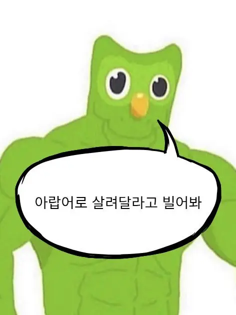 ezeze의 팀 코드 신입 멤버가 되었다!