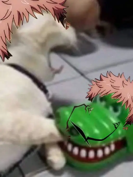 Watasingakita의 체인소맨 여캐들과 동거!!!