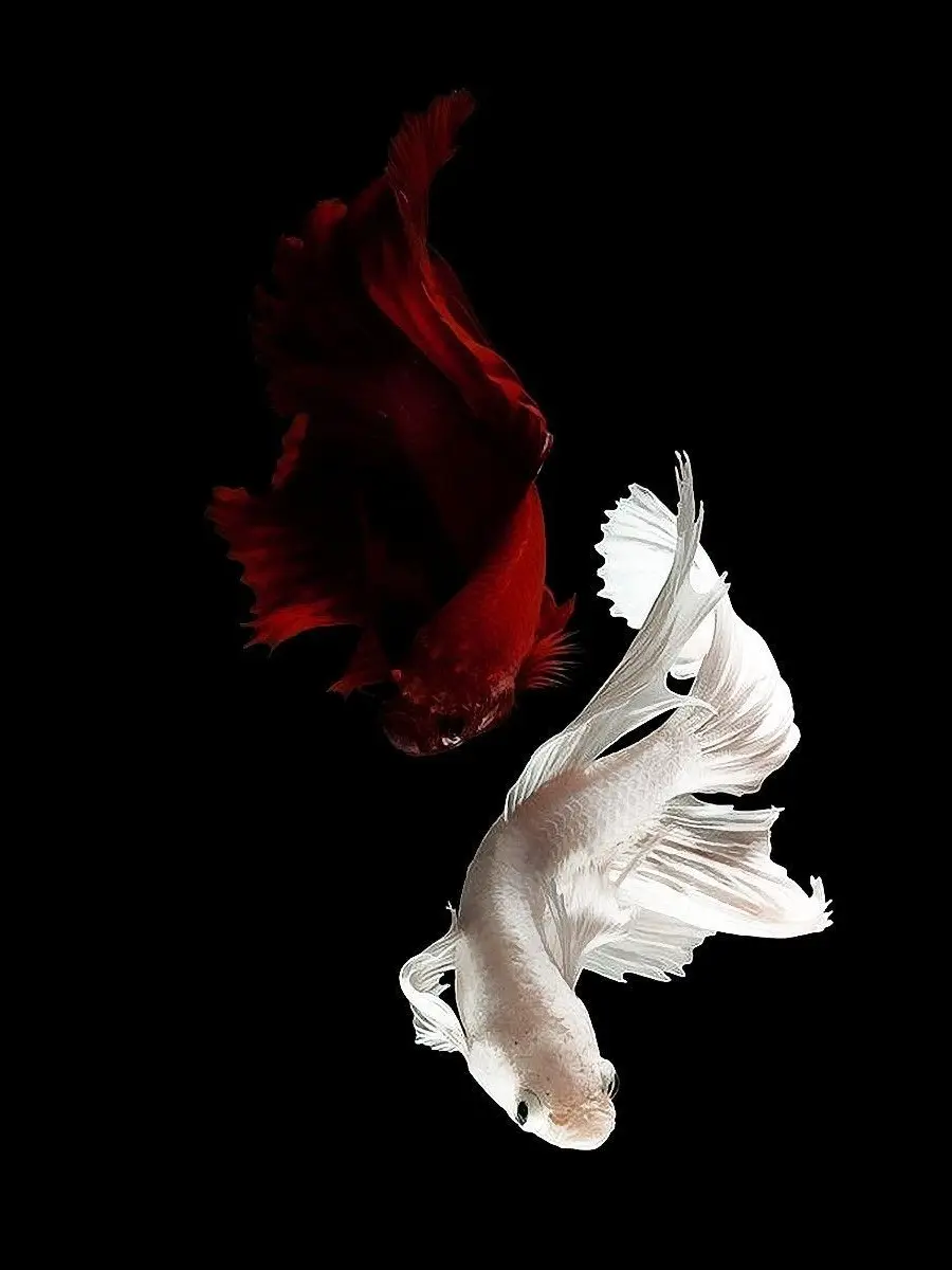 SGO__의 추운겨울날내따뜻함이되어줘서고마워