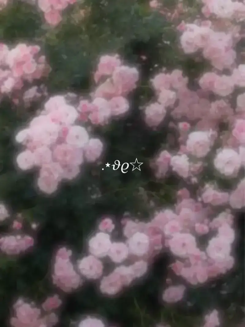 VapidSiren5904의 반의 인기녀가 나를 짝사랑 중이었다고!?