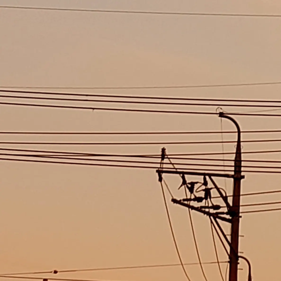 DaftlyStep1571의 뜰팁 아포칼립스