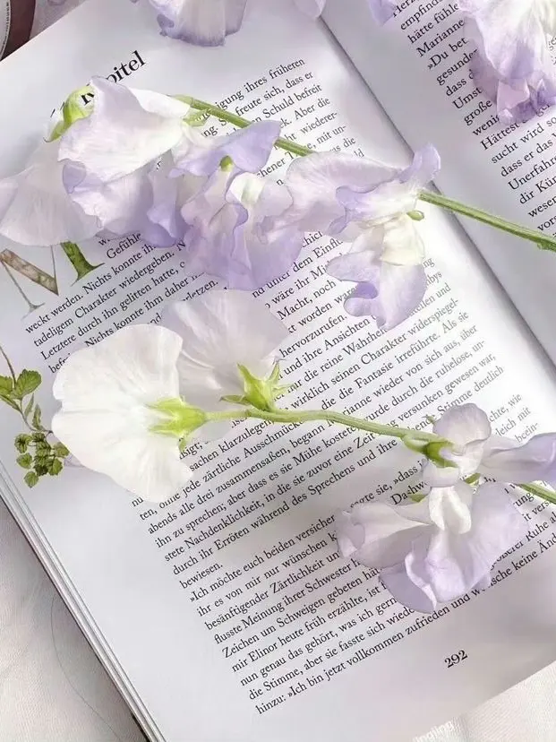 Yeon.line2345의 잊지않을거야