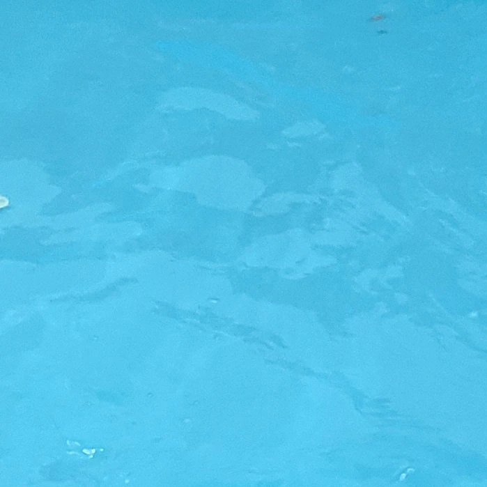 평학