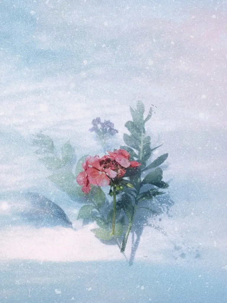 Isgi_12의 겨울과 봄. 그 사이의 우린.