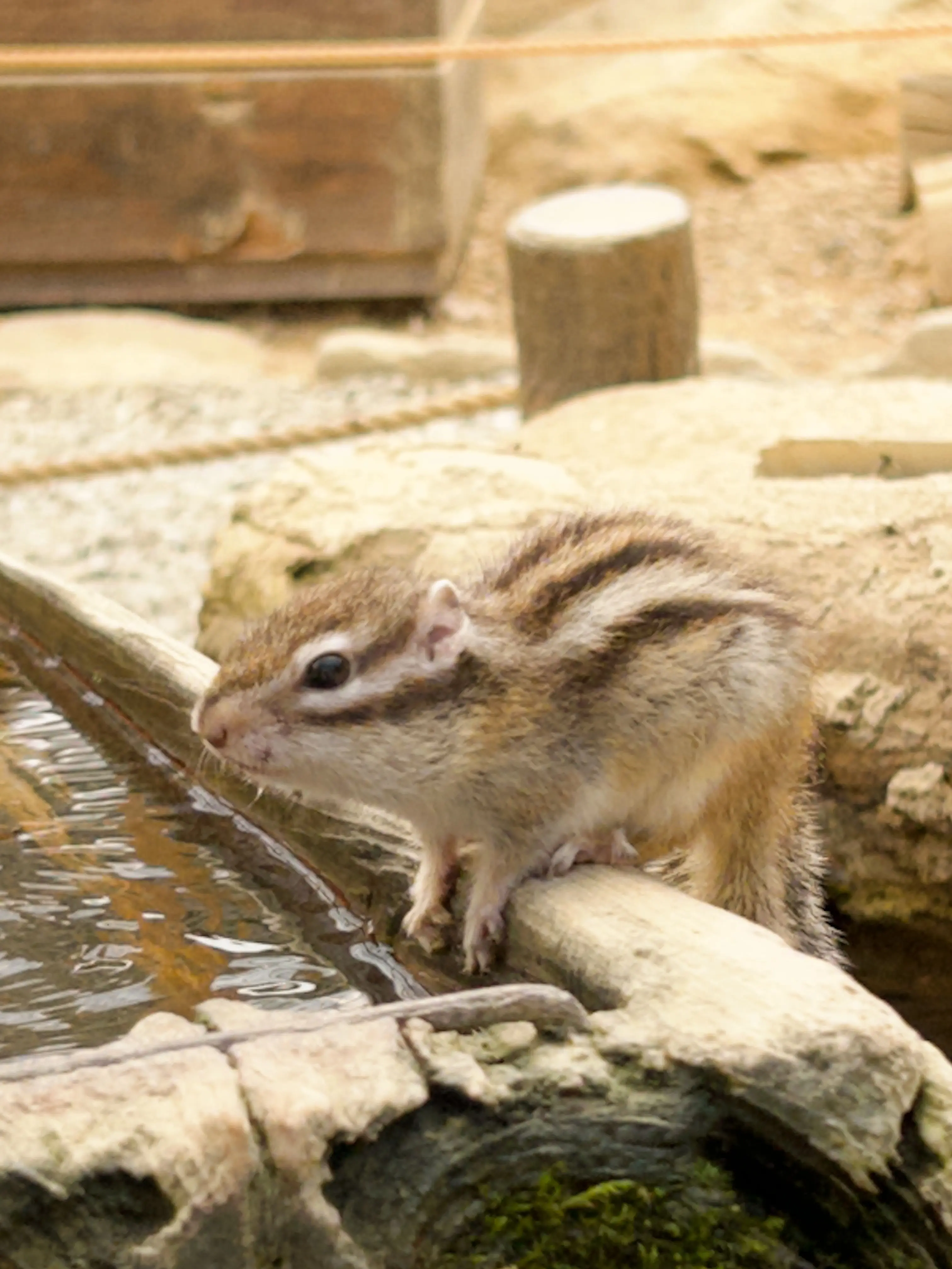 mrs.gleen.apple.ilove의 クズだけど沼な彼氏