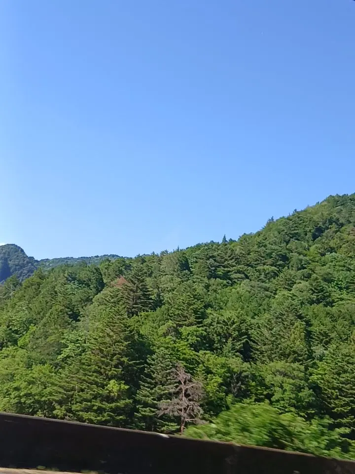 i72dayo의 ヤンキー高の転校生※🦈さん不在ver.