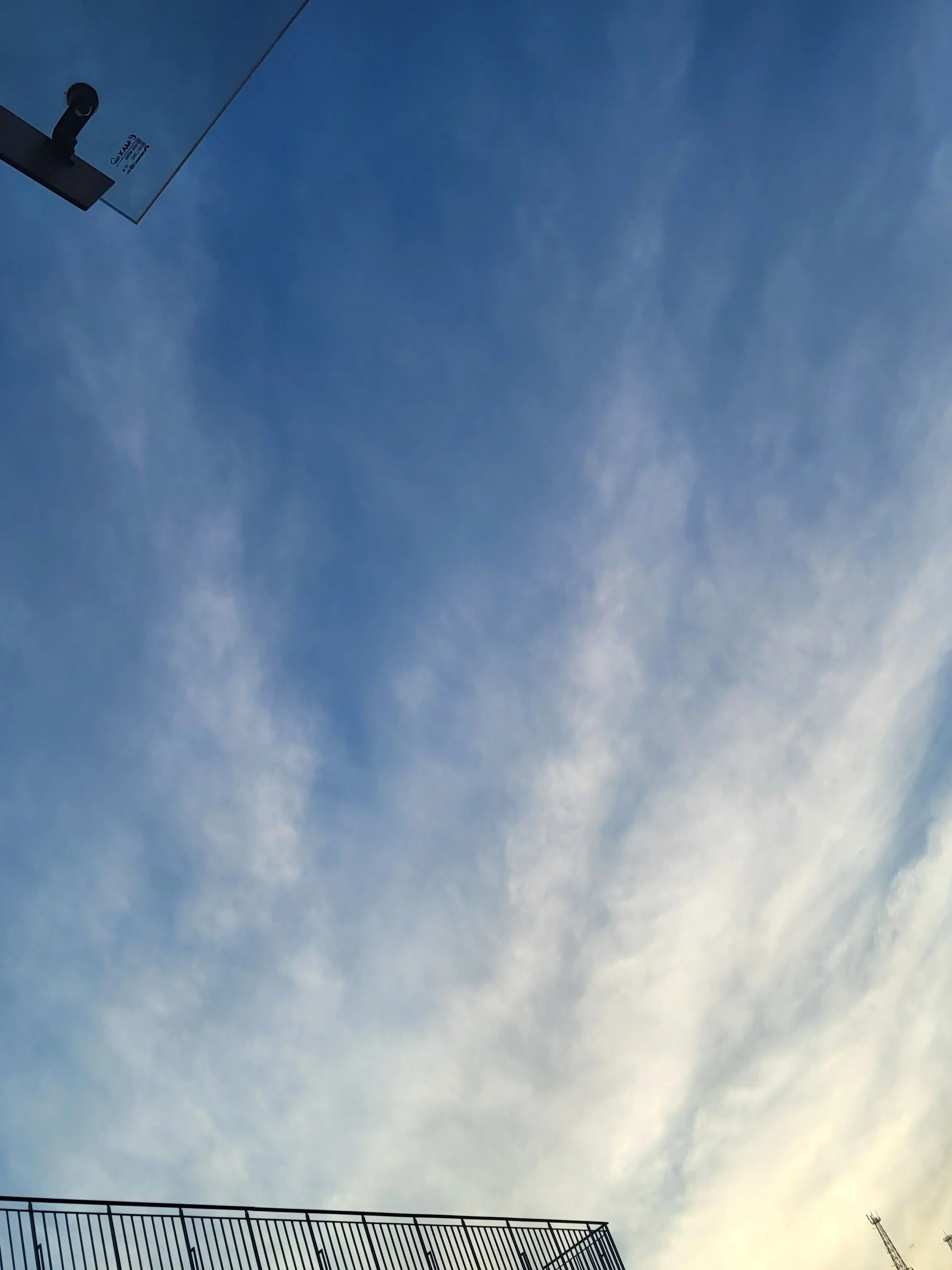 LoudQuilt0403의 한끼 식사?