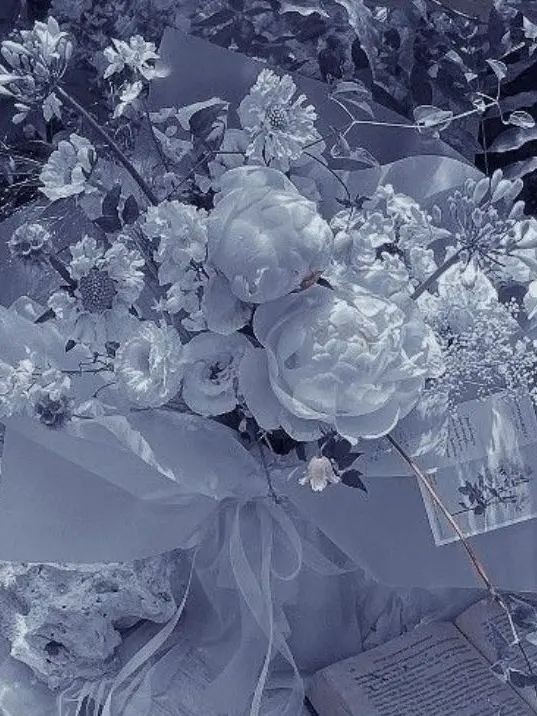 Re_Prdpixley의 1&11.