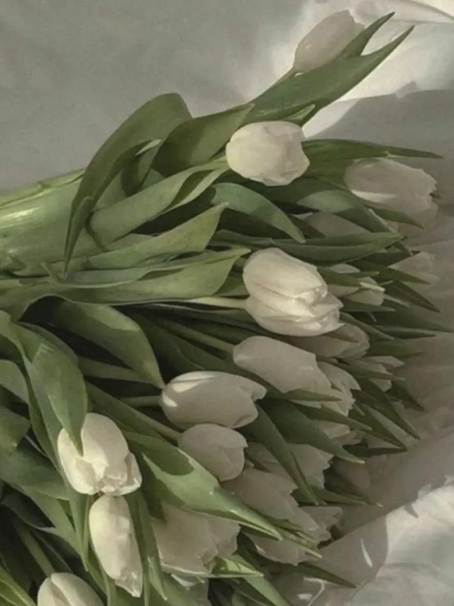 chanismine의 서창빈