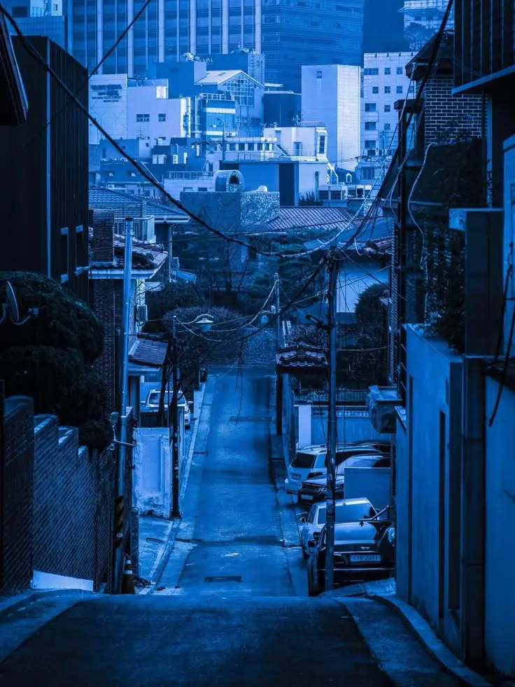 Paradise_1225의 파이브