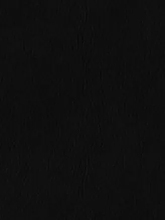 ClumsyCurry0666의 歌詞ドッキリver嫌われ