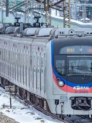 SmokyBone0247의 열차