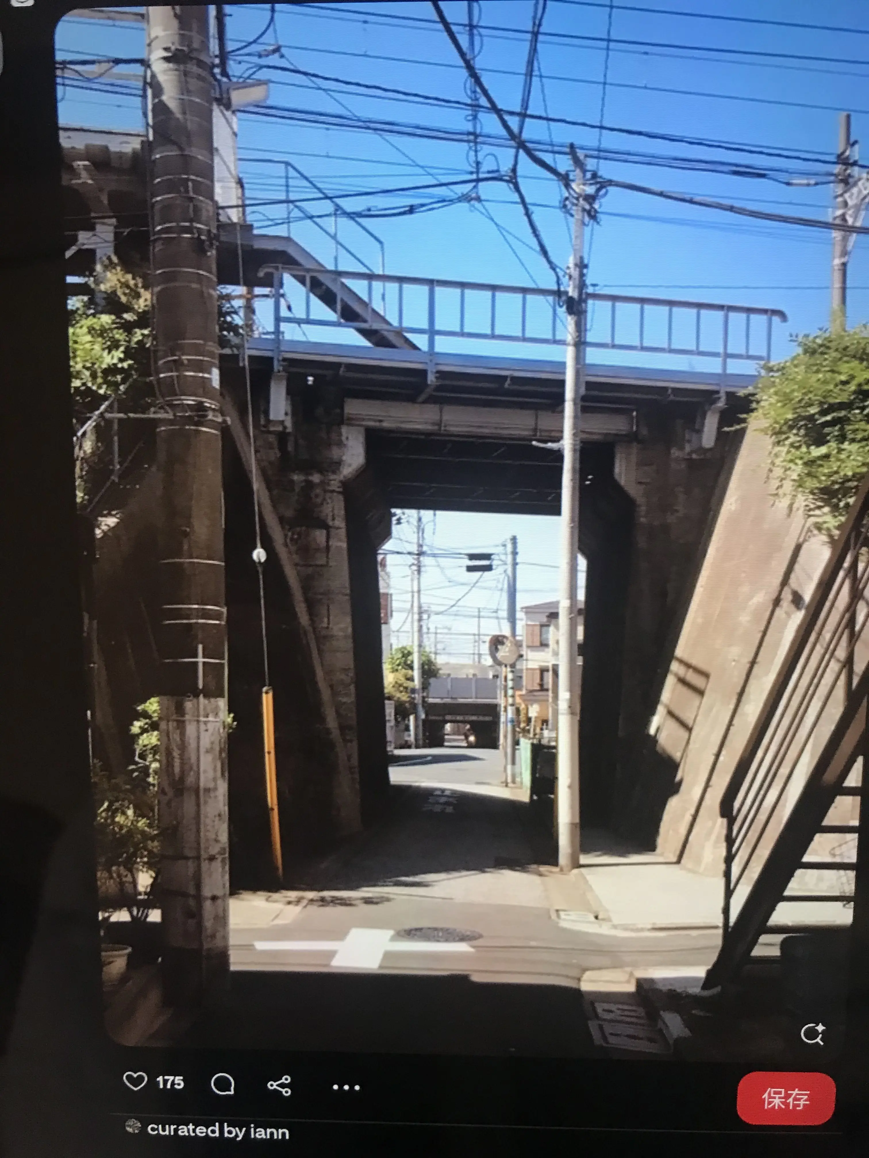 RashHair6974의 学生