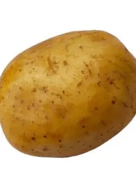 Potato_Q의 감자중에서 상감자🥔 [강지유]