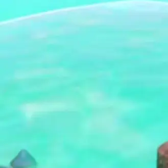 HiEveryone_10의 Guest 666 x Noob