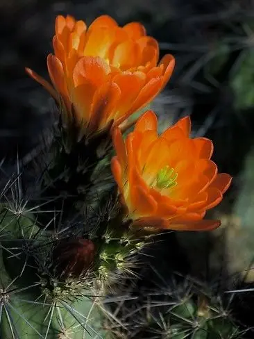 interesting_taste의 플래그