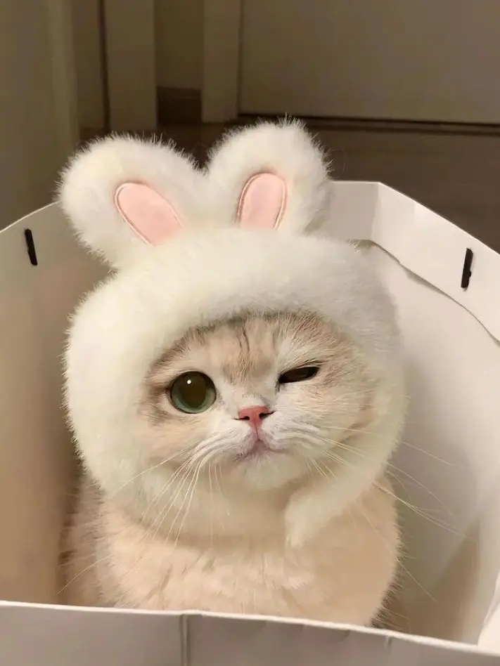 Furing_0225의 제목 뭐하지