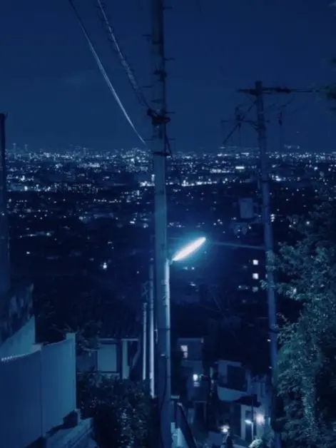 NiceGirl4321의 리레볼루션: 임무+여우