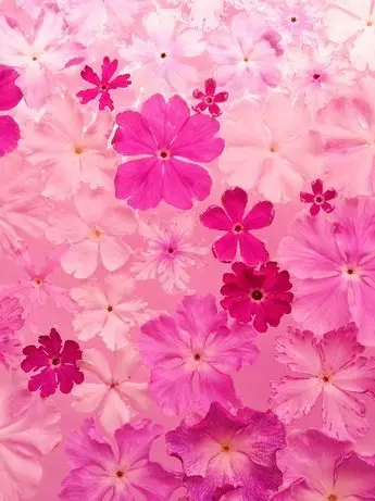 DullSalty0083의 niji ビンタしたところを見られた！？