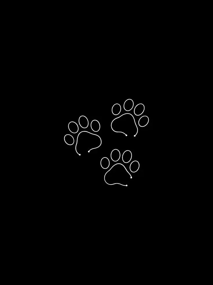 himazinn.syatiku의 仔犬 。