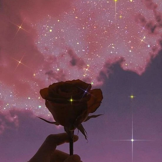 패러다이스 정모