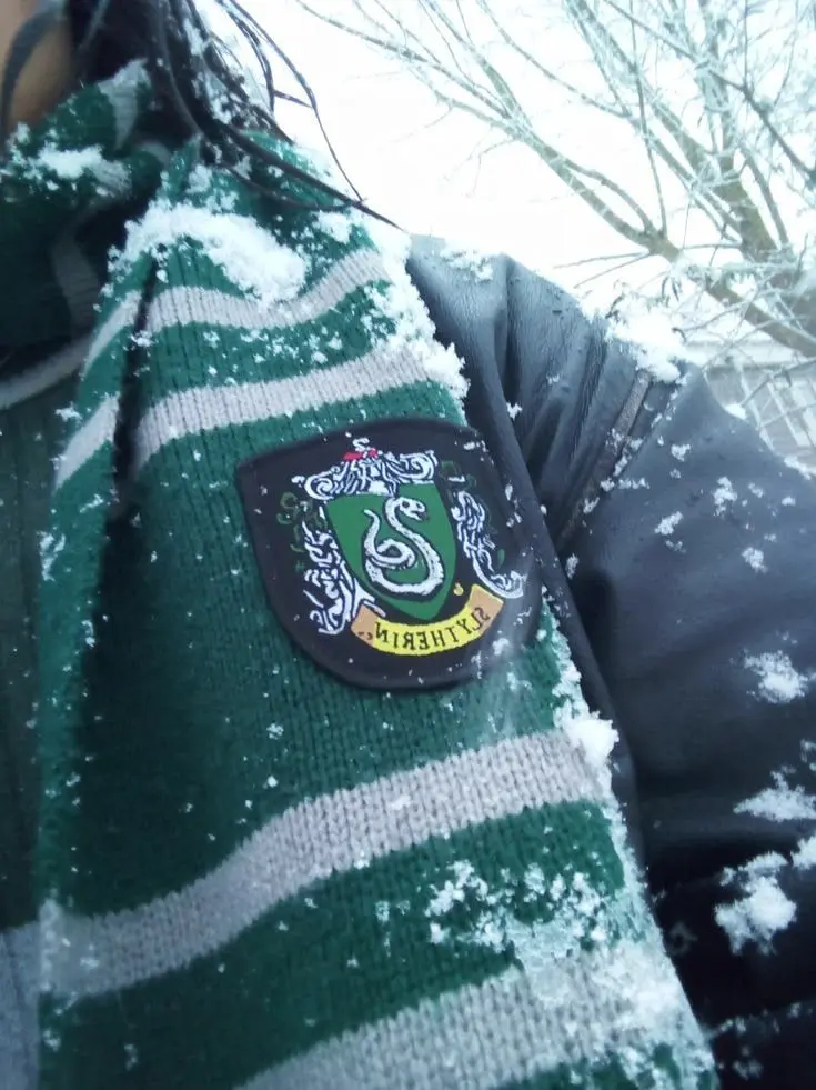yyannasoo의 Slytherin