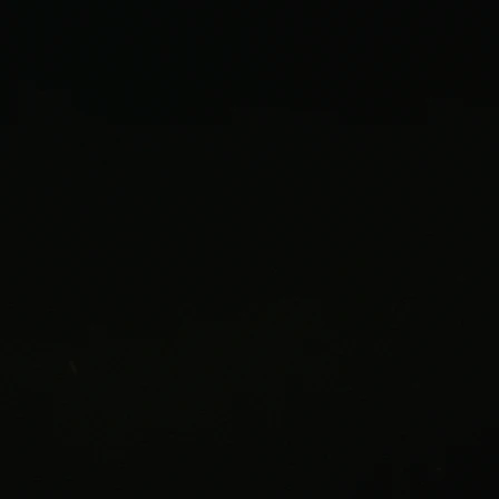 DNF((외모)개취)