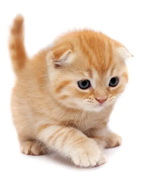 geiry_kmi의 ゲイリーは片思い