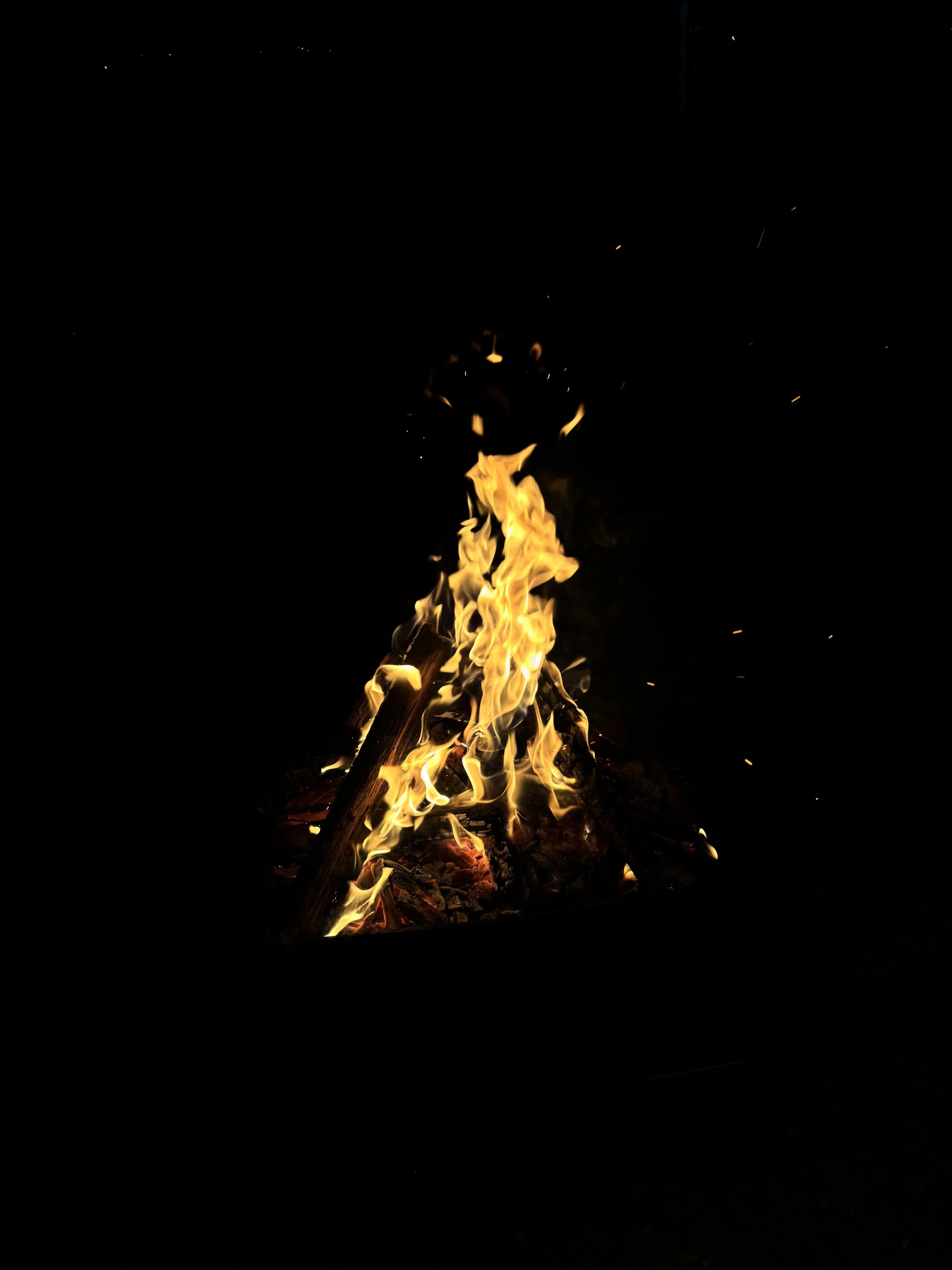 synonymously의 ‌‍⁠⁣ㅤ