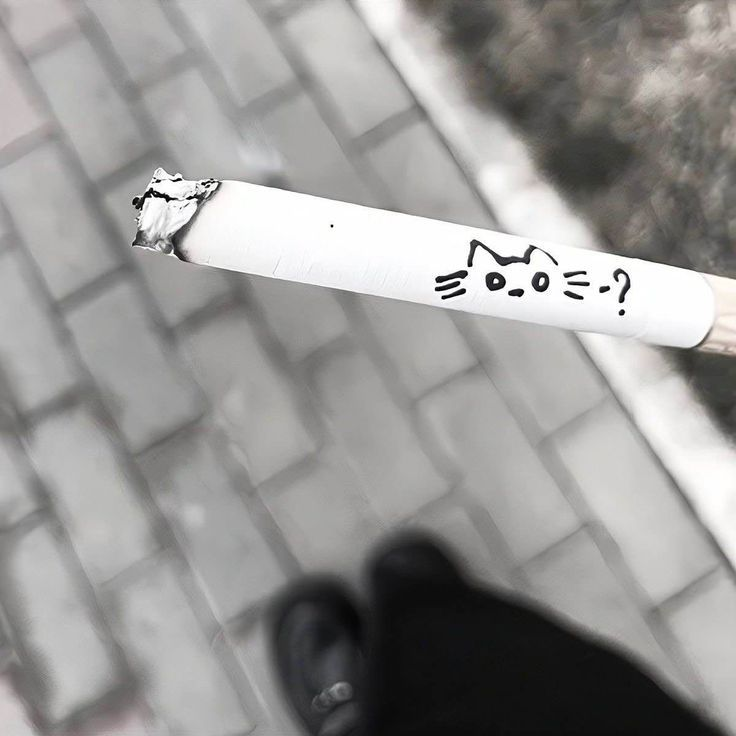 日紅 대표 이미지