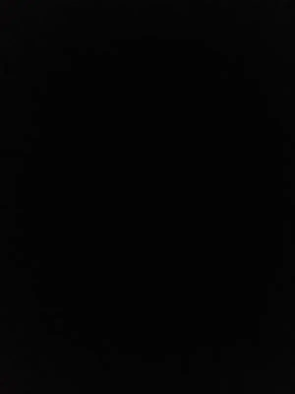 BouncySale4273의 째째