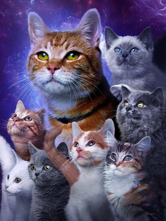 airissss의 ヒーローとヴィランが猫になりました