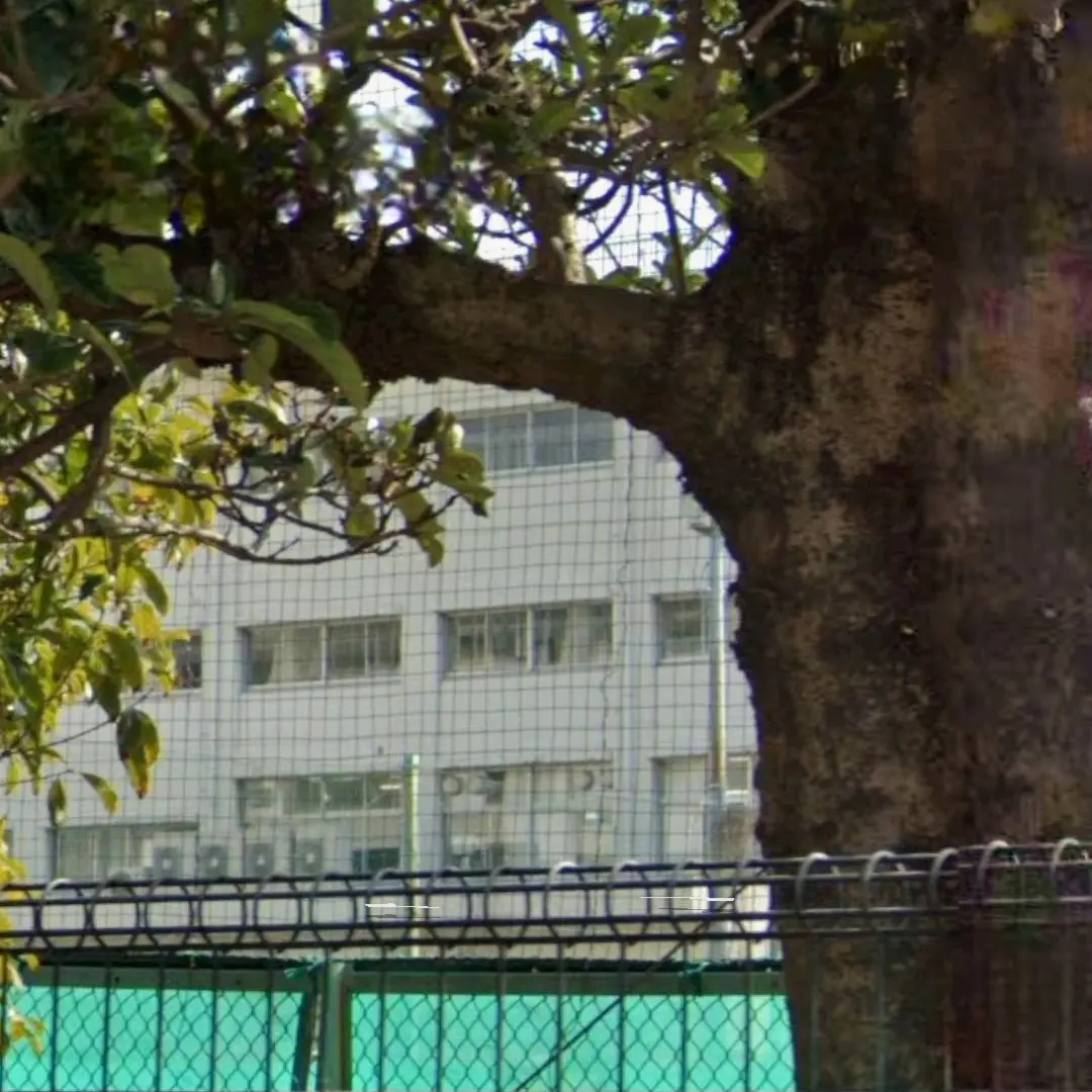 Bookshop의 '제발... 제발..! 가지마...'