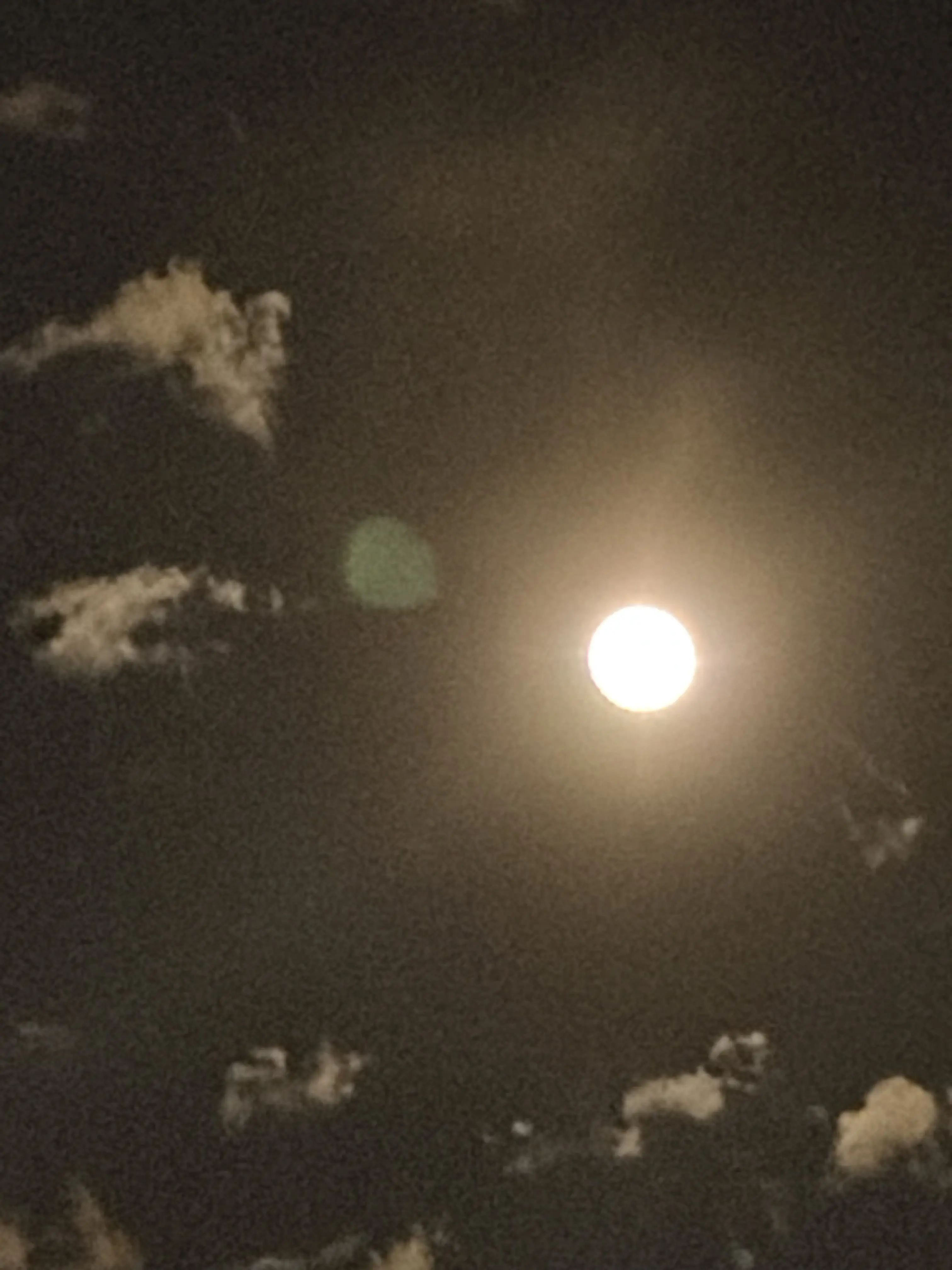 miin.ho_13의 마음대로