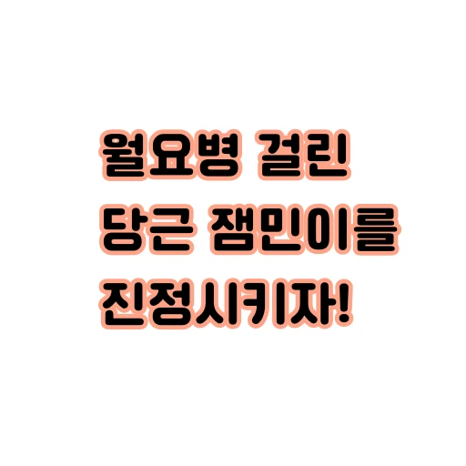 월요병 걸린 당근을 진정시키자 !🥕