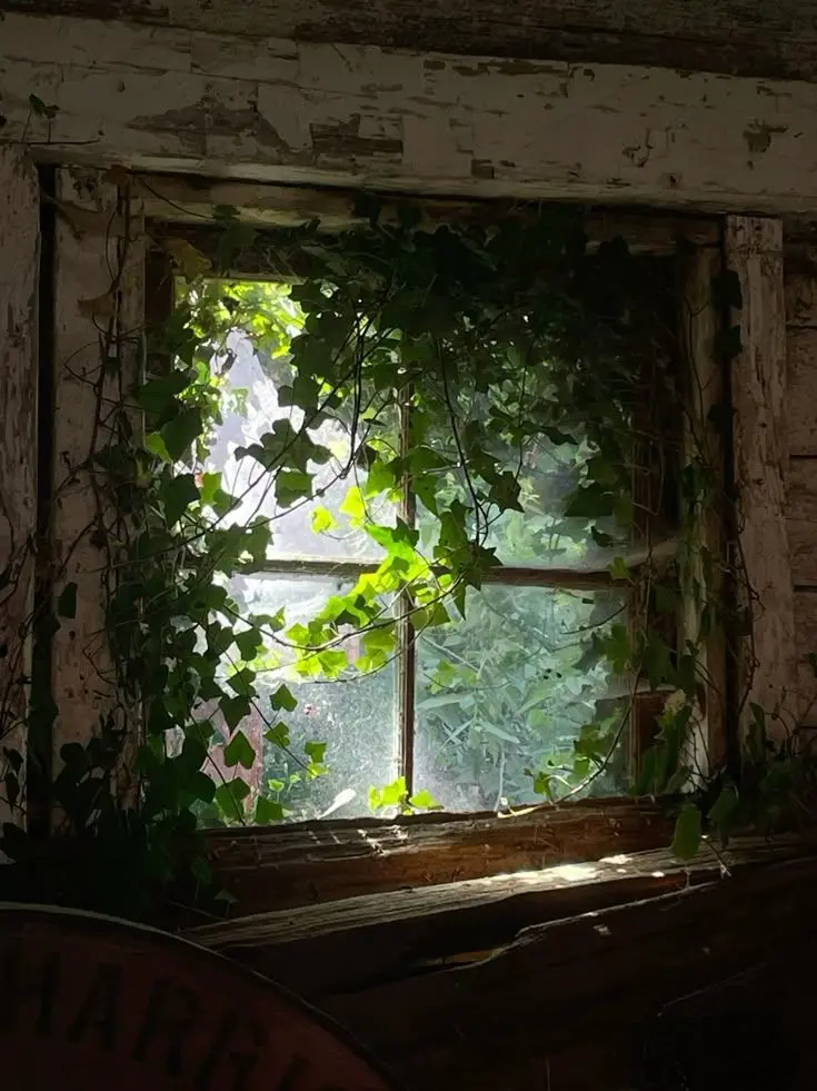 Kaaaak의 미수반 & 이웃좀