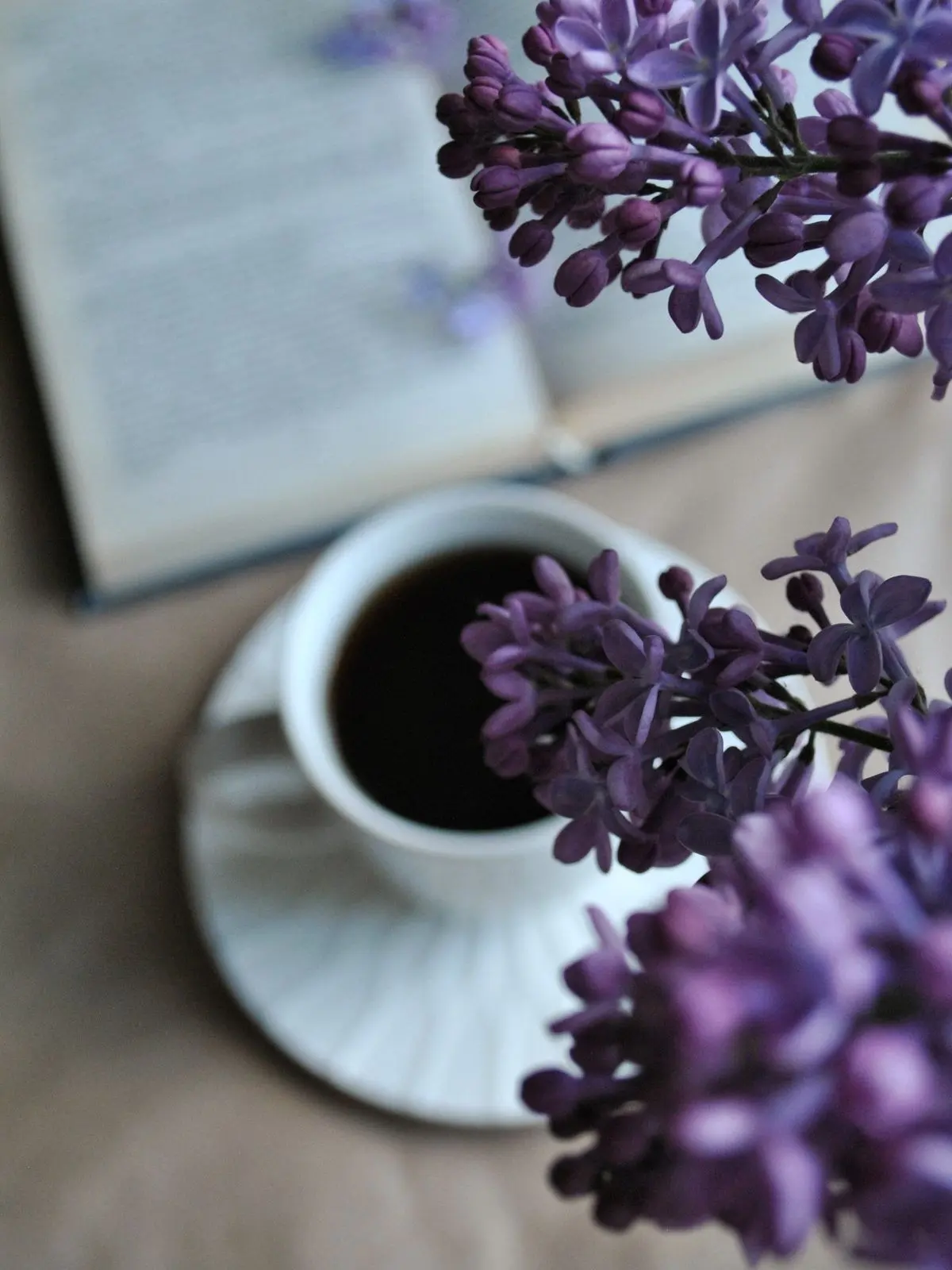 osini_nouyakareman00의 神様は居たらしい