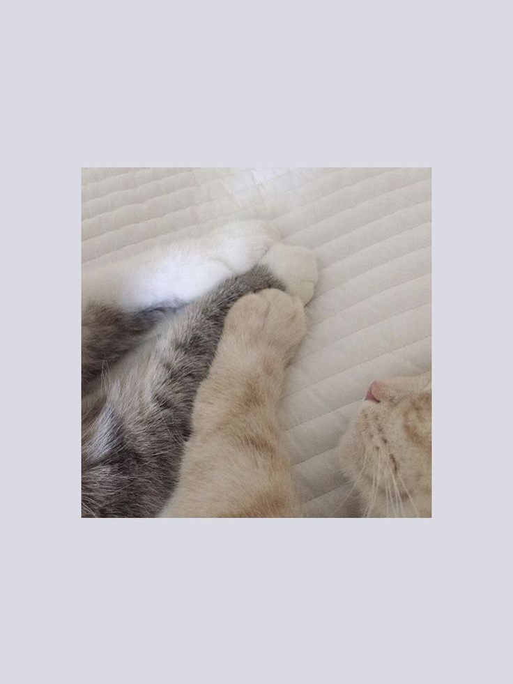 ◽◽과 ⬚  ⬚ 대표 이미지