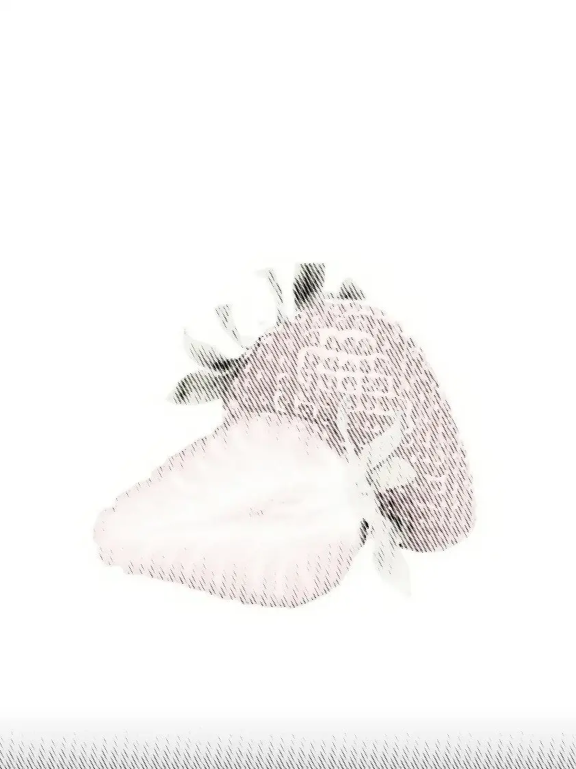 BI4BANG_Is-My-Heart-Breaker의 권지용
