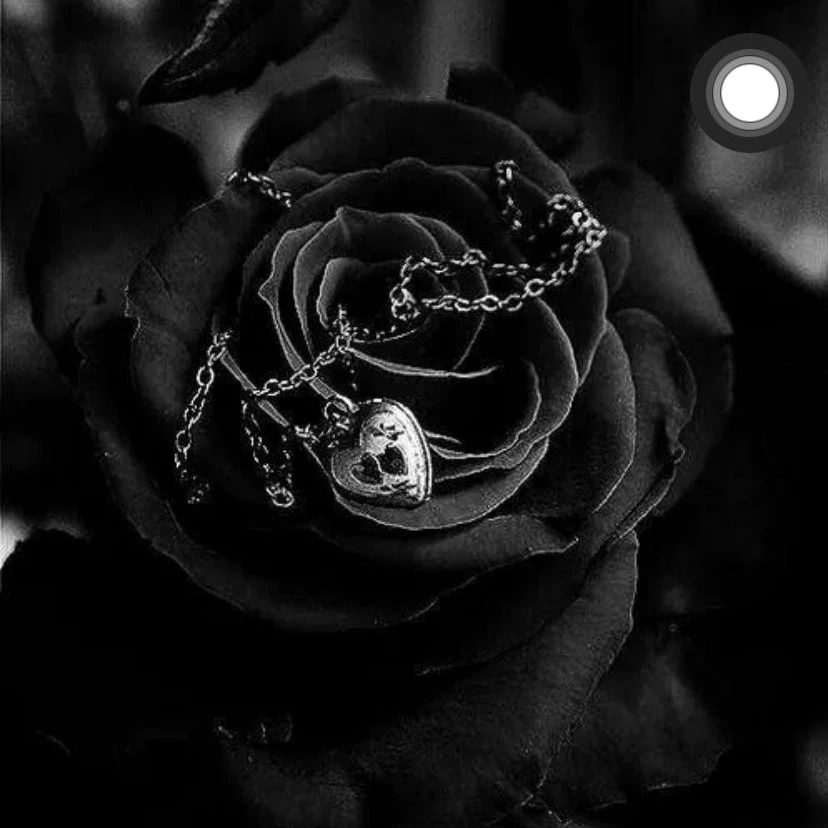 貴方に愛されていたかった(🥂)