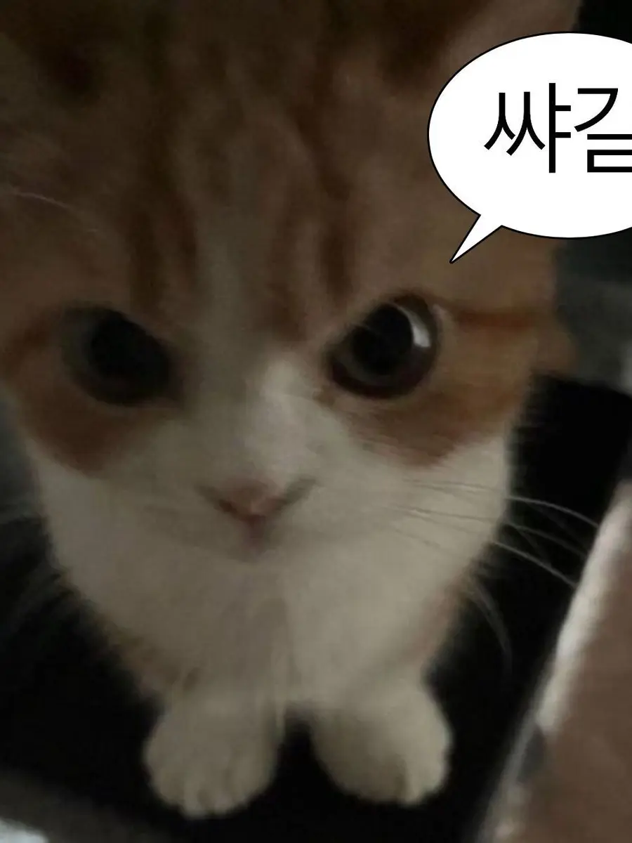 happy.is.you의 공지!!