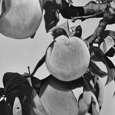 FinalToe-7842의 하도현