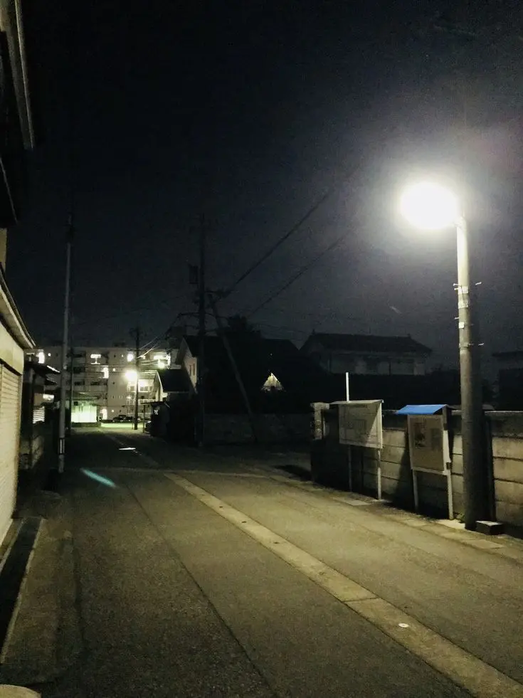 BriskSleep3895의 ずーっと一緒！