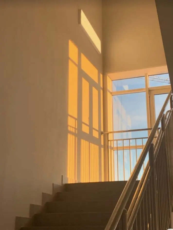 _snow의 패러다이스