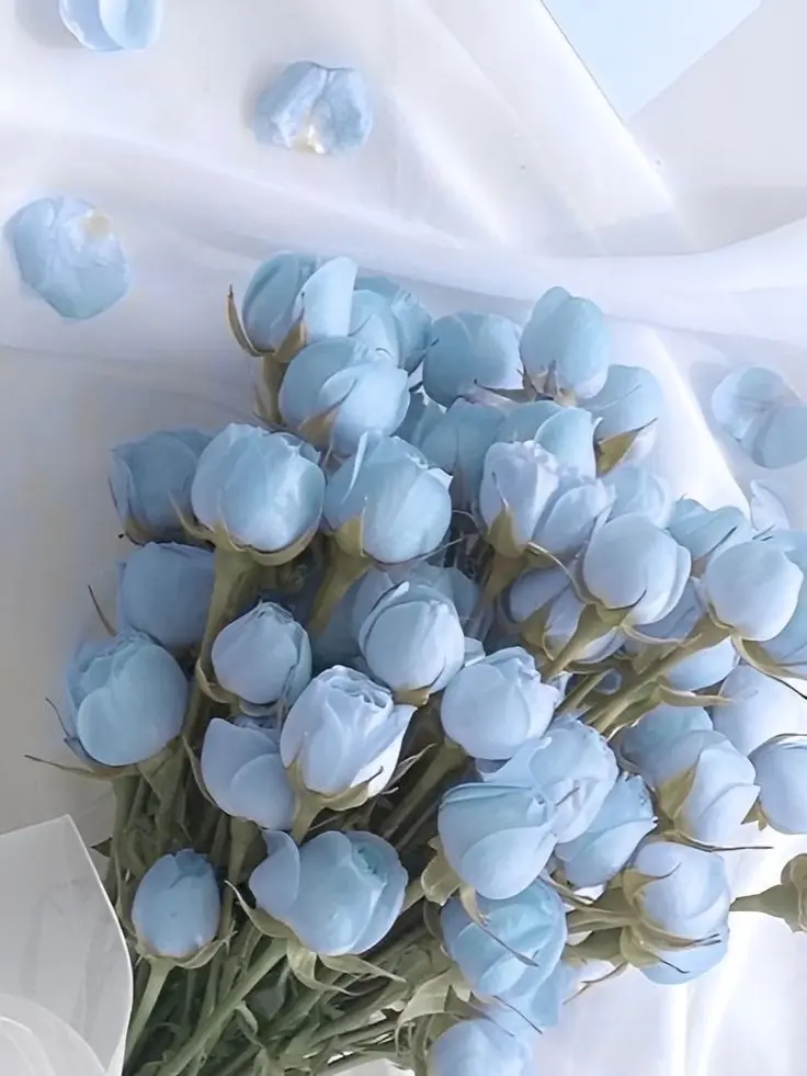 anggimothi1223의 개인용