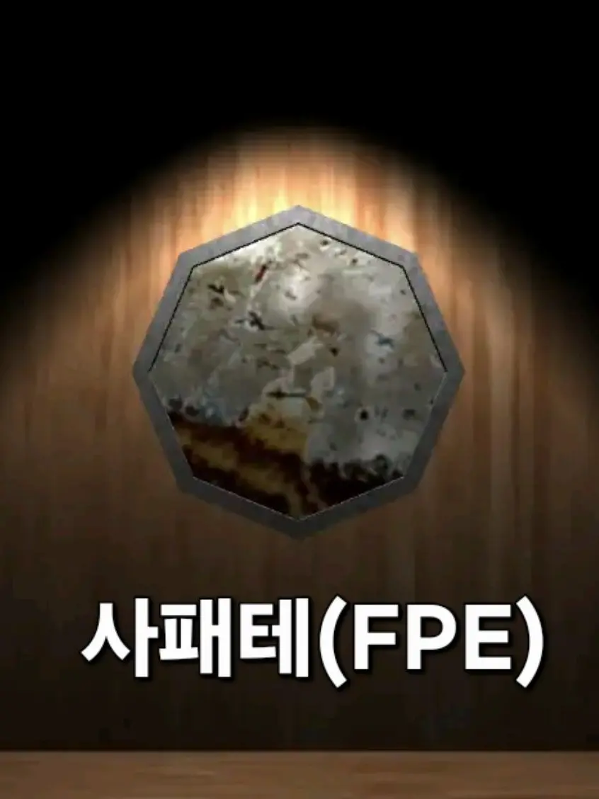 t_6의 사패테(FPE), 유저들 포함 등장