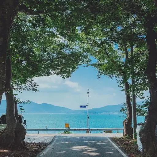 only_dino의 정공룡