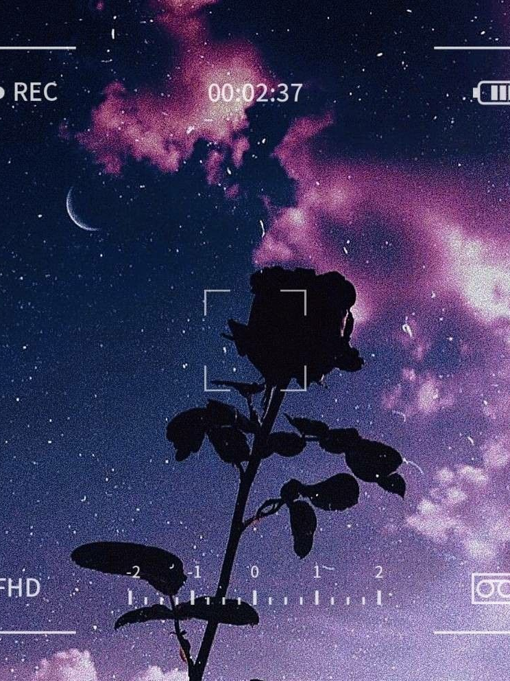 ✨🎤🚸 대표 이미지