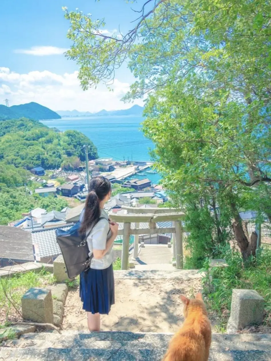 BouncyJoy0220의 시골