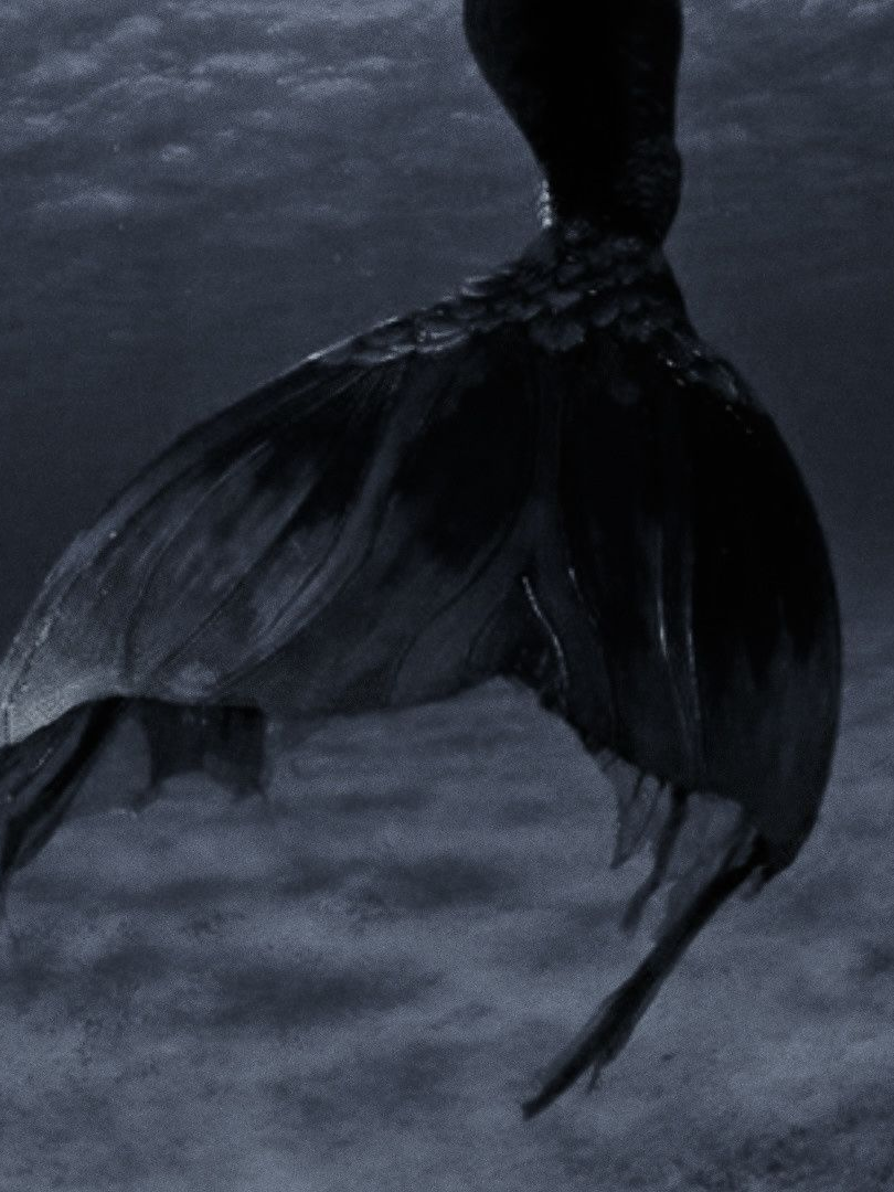 𝓜𝓮𝓻𝓶𝓪𝓲𝓭 대표 이미지